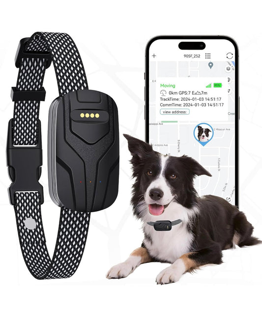 Rastreador GPS para perros y monitor de actividad y fitness, valla inalámbrica 2 en 1